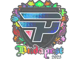 Sticker | paiN Gaming (Holo) | Budapest 2025