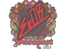 Sticker | sk0R | Budapest 2025