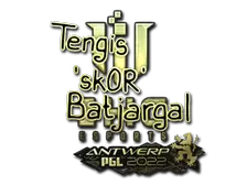 Sticker | sk0R (Gold) | Antwerp 2022