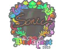 Sticker | Sonic (Holo) | Budapest 2025