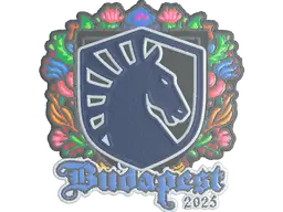 Sticker | Team Liquid (Embroidered) | Budapest 2025