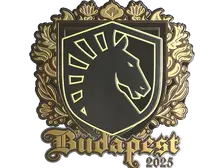 Sticker | Team Liquid (Gold) | Budapest 2025