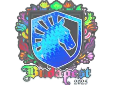 Sticker | Team Liquid (Holo) | Budapest 2025