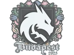 Sticker | Team Spirit | Budapest 2025