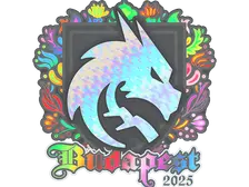 Sticker | Team Spirit (Holo) | Budapest 2025