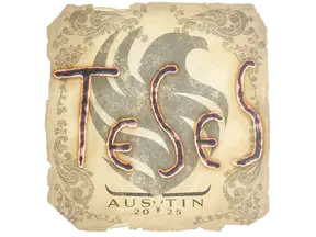 Sticker | TeSeS | Austin 2025