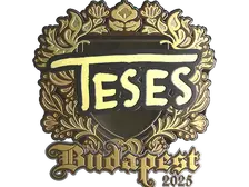 Sticker | TeSeS (Gold) | Budapest 2025