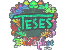 Sticker | TeSeS (Holo) | Budapest 2025