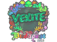 Sticker | vexite (Holo) | Budapest 2025