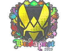Sticker | Vitality (Holo) | Budapest 2025