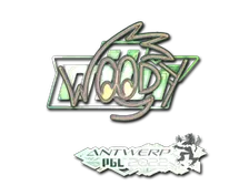 Sticker | WOOD7 (Holo) | Antwerp 2022