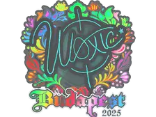Sticker | woxic (Holo) | Budapest 2025