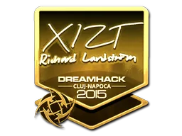 Sticker | Xizt (Gold) | Cluj-Napoca 2015