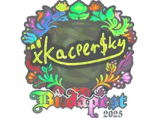 Sticker | xKacpersky (Holo) | Budapest 2025