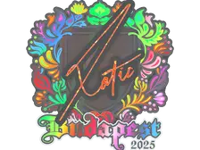 Sticker | XotiC (Holo) | Budapest 2025